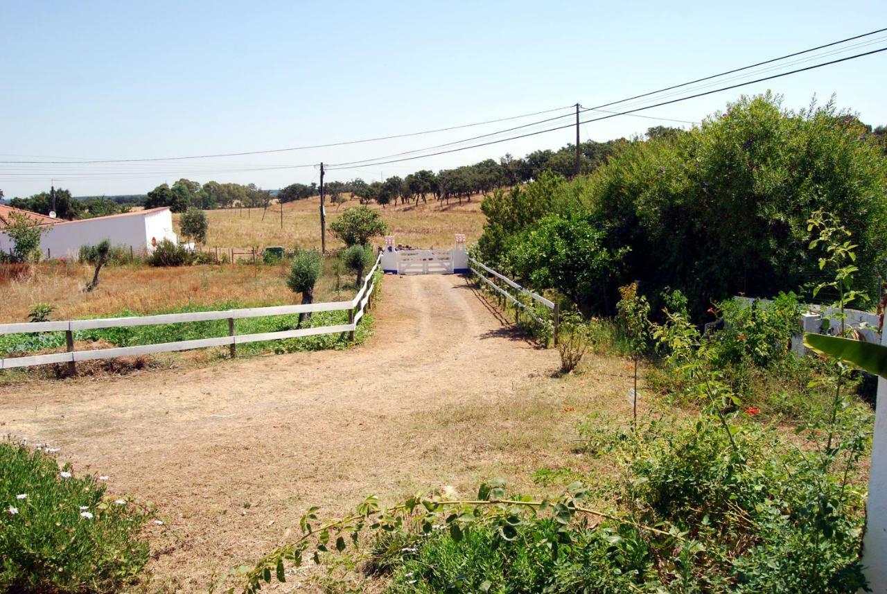 Monte Das Silveirinhas - Casa Rural Villa Charnequinha Silveiras Dış mekan fotoğraf